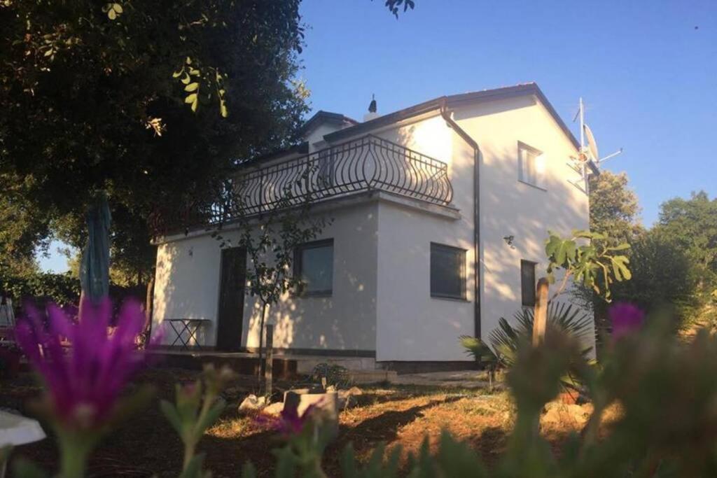 Viva 2 Rovinj Apartment Bagian luar foto