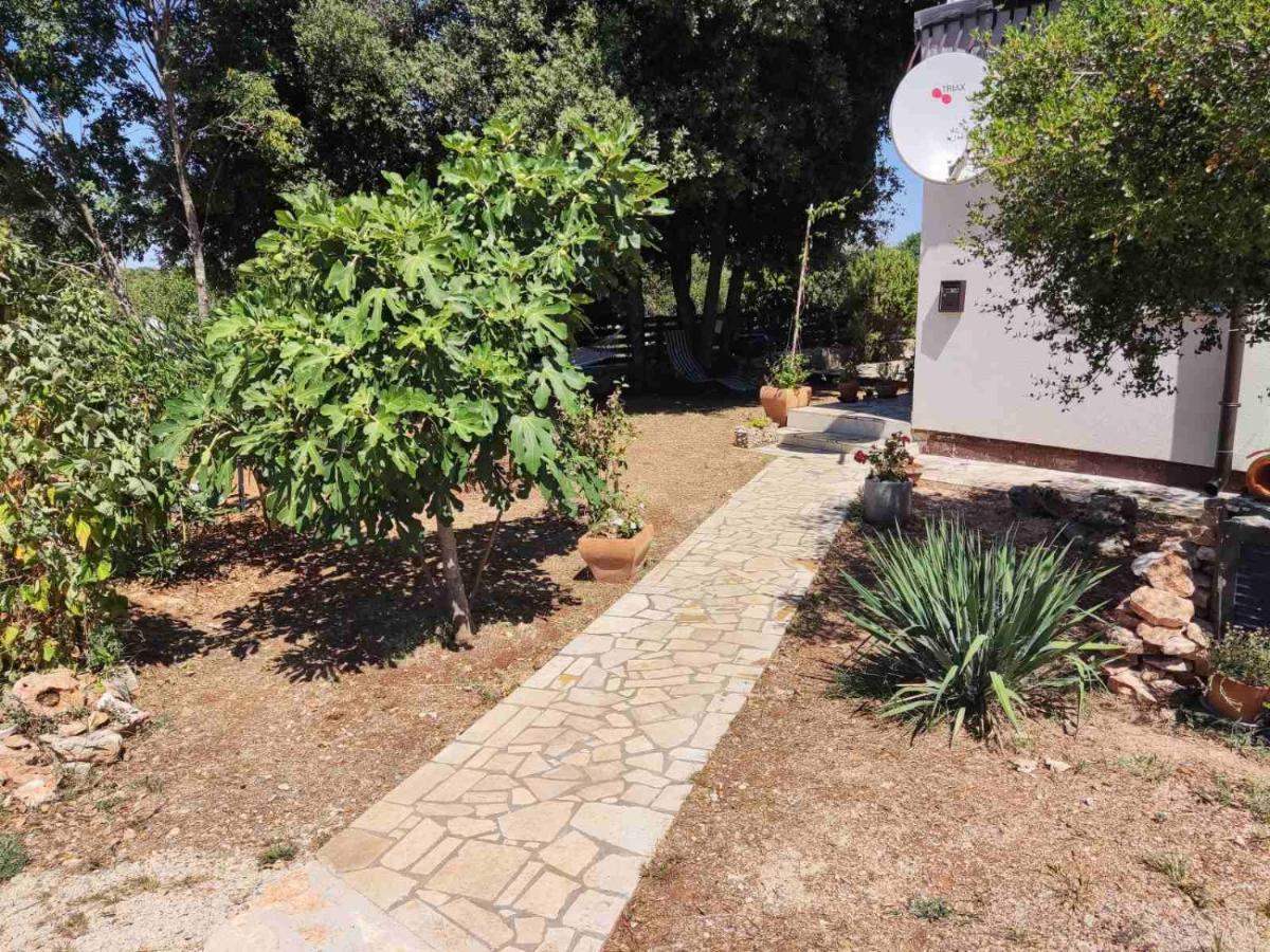 Viva 2 Rovinj Apartment Bagian luar foto